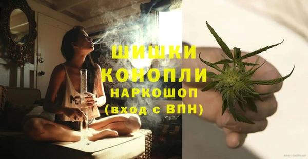 apvp Аркадак